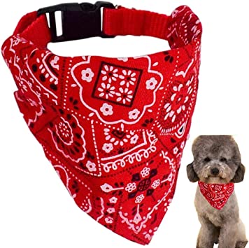 3 Collares Bandana Graduable Mascotas