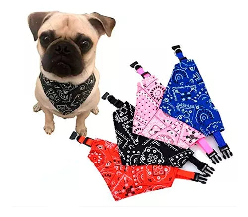 3 Collares Bandana Graduable Mascotas