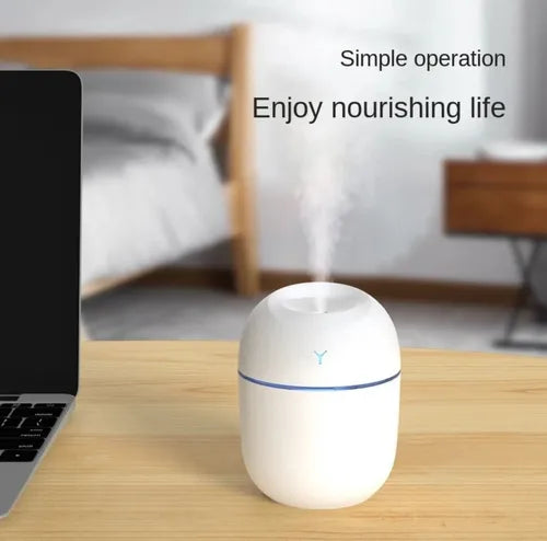 Mini Humificador Tipo Huevo