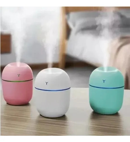 Mini Humificador Tipo Huevo