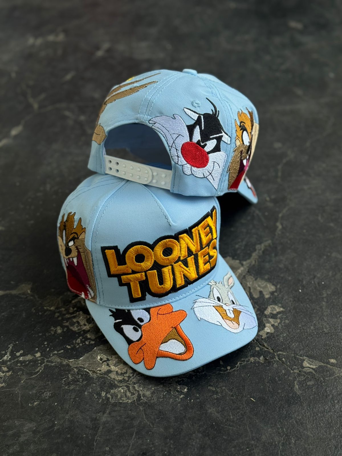 Gorra Looney Bordada